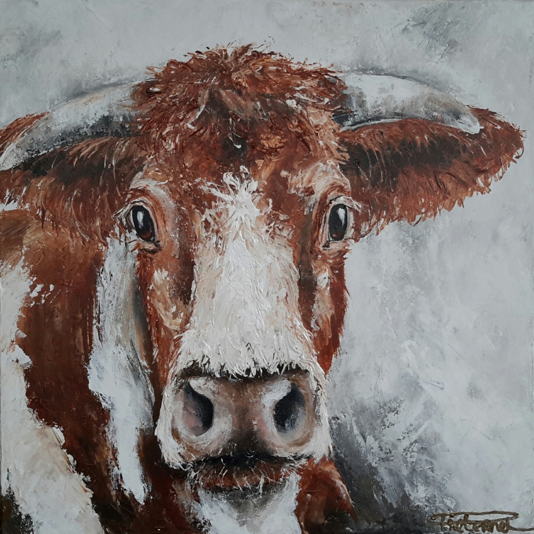 Lovely Cow III 50x50 sold Netherlands (available as giclee 60x60)